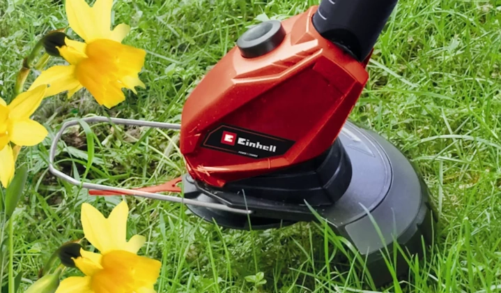 Flowerguard біля квітів