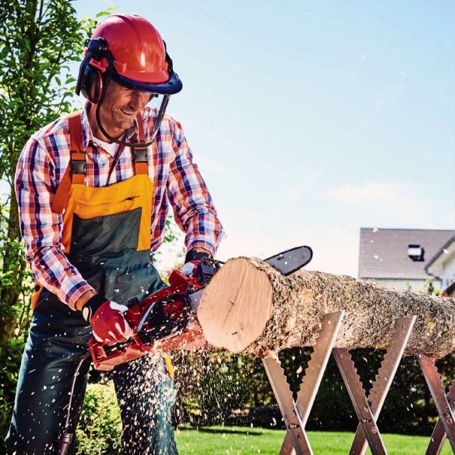 Пила цепная электрическая Einhell GH-EC 2040 (4501720) Пила цепная электрическая Einhell GH-EC 2040 (4501720)