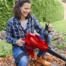 Садовый пылесос Einhell GC-EL 3000 E (3433320)