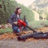 Садовый пылесос Einhell GC-EL 3000 E (3433320)