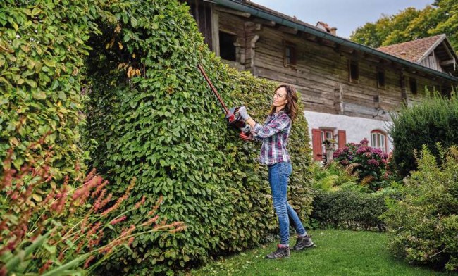 Кусторез аккумуляторный Einhell GE-CH 36/61 Li-Solo (3410965) Кусторез аккумуляторный Einhell GE-CH 36/61 Li-Solo (3410965)