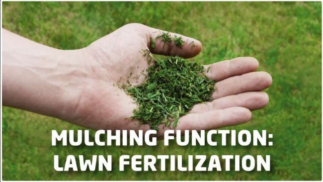 Einhell GE-CM 43 Li M Kit 4.jpg Einhell GE-CM 43 Li M Kit 4.jpg