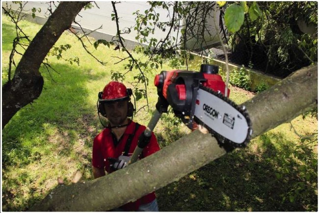 Акция! Набор высоторез аккумуляторный Einhell GE-LC 18 Li T Solo + зарядное устройство и аккумулятор 18V 2,5 Ah (3410810, 4512097)