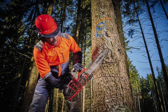 Набор Пила цепная бесщеточная Einhell GE-LC 36/35 Li-Solo  + 2 зарядных устройства и 2 аккумулятора 18V 4,0 Ah (4501780, 2 х 4512042) Набор Пила цепная бесщеточная Einhell GE-LC 36/35 Li-Solo  + 2 зарядных устройства и 2 аккумулятора 18V 4,0 Ah (4501780, 2 х 4512042)