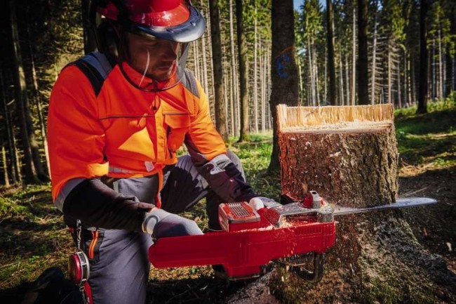 Уценка! Пила цепная бесщеточная аккумуляторная Einhell GP-LC 36/35 Li-Solo (4501780) Уценка! Пила цепная бесщеточная аккумуляторная Einhell GP-LC 36/35 Li-Solo (4501780)