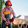 Пила цепная электрическая Einhell GH-EC 1835