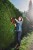 Cordless_Hedge_Trimmer_3410920_ARCURRA_Lifestage2_small.jpg