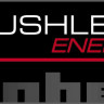 Шуруповерт бесщеточный Einhell TE-CD 18/40 Li BL Solo