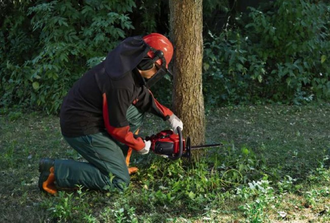 4501862 Einhell GC-PC 1235_1 (5).jpg