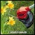 3411123 Einhell GC-CT 18_24_Li_Solo (9)ve.jpg