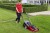 Einhell 3400160 GC-EM 1536 (1).jpg