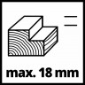 4345320 Einhell TE-PL 900 (3).jpg
