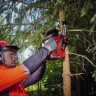 Акция! Набор пила цепная бесщеточная аккумуляторная Einhell FORTEXXA 18/20 TH - Solo + зарядное устройство 18V Power X-Fastcharger 4 A и аккумулятор 18V 4,0 Ah