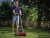 3414114 Einhell GC-HM 300 (2).jpg