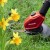 Einhell GE-CT 18 Li 5.jpg