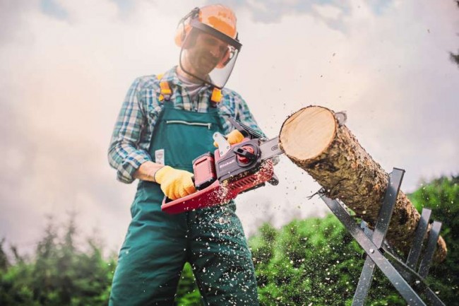 4501780 Einhell GE-LC 36_35_Li_Solo  (18)yu.jpg